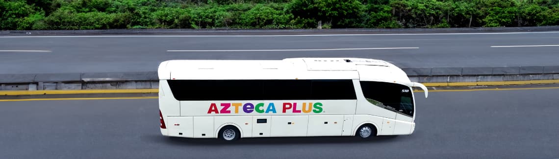 Top level service - Air conditioning, aircraft-style overhead luggage rack, separate toilets for men and women isolated from the cabin