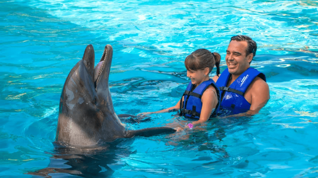 Desde $1,947.75 p.p.