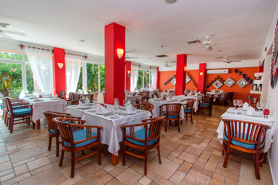 Desde $3,999 MXN p.p